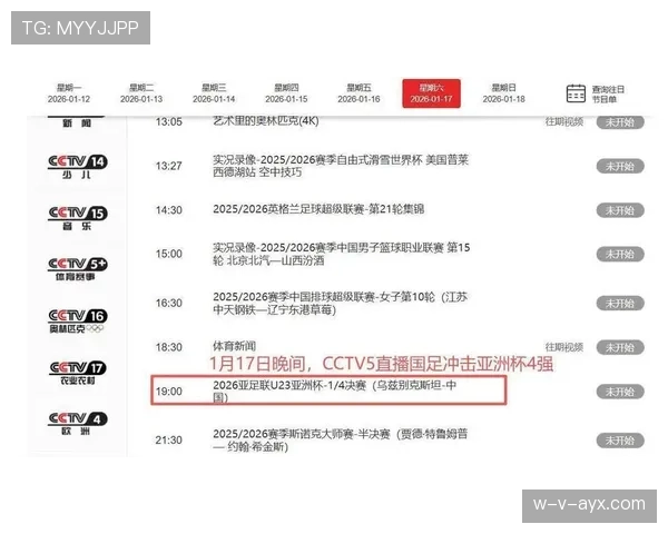 亚洲杯焦点战争议判罚引热议，专家呼吁深入分析比赛表现