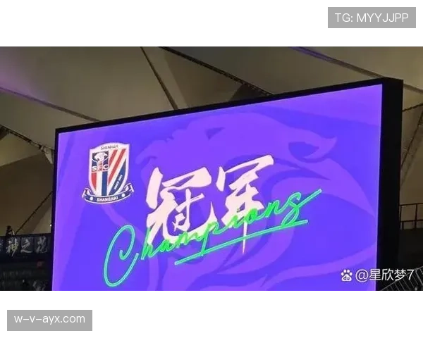 上海申花防守依然稳固,但是否过于保守? 上海申花防守依然稳固,但是否过于保守?